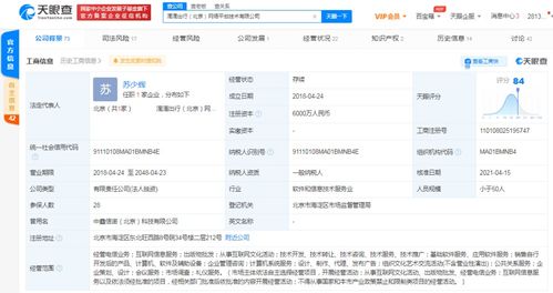 計算機軟件的技術開發(fā)與銷售 創(chuàng)新驅動與市場拓展的雙輪驅動